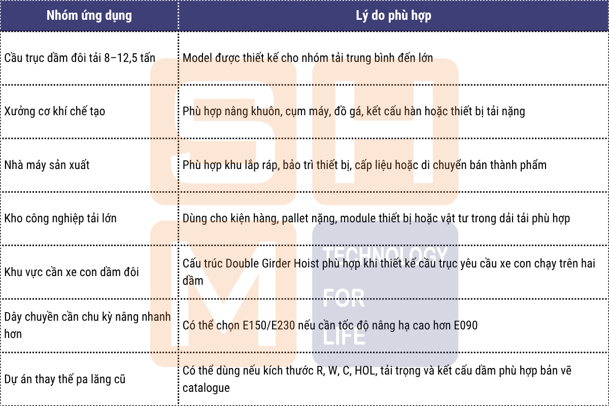 Ứng dụng phù hợp tại Việt Nam - pa lăng dầm đôi WorldHoists KNH4104