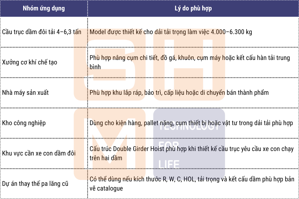 Ứng dụng phù hợp tại Việt Nam - pa lăng dầm đôi WorldHoists KNK3104
