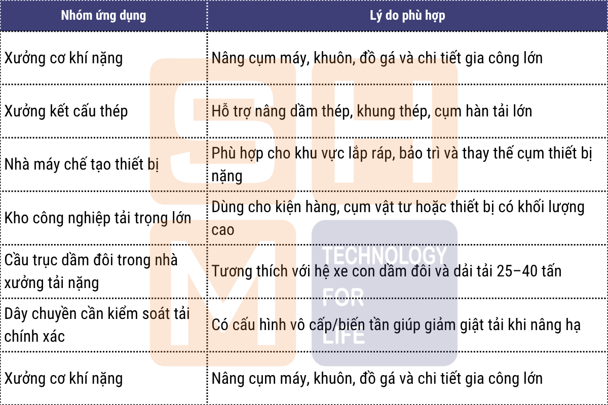 Ứng dụng phù hợp tại Việt Nam - pa lăng dầm đôi WorldHoists KNK5208-1