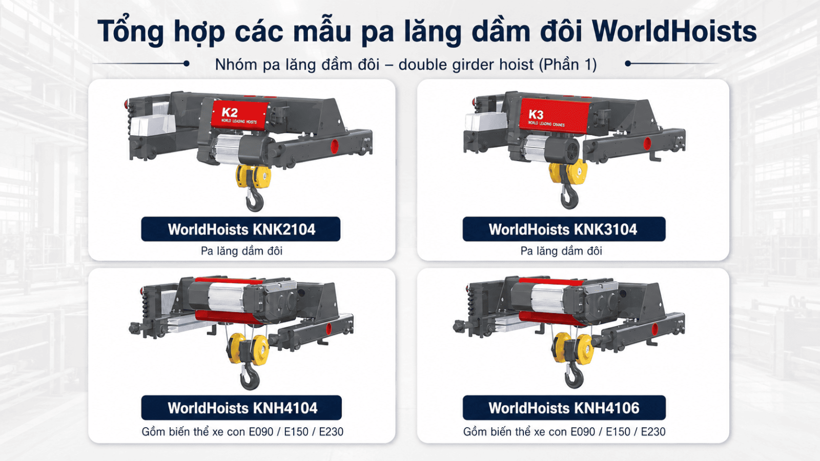 double-girder-hoists-worldhoists-1