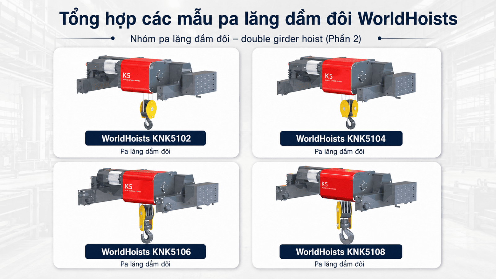 double-girder-hoists-worldhoists-2