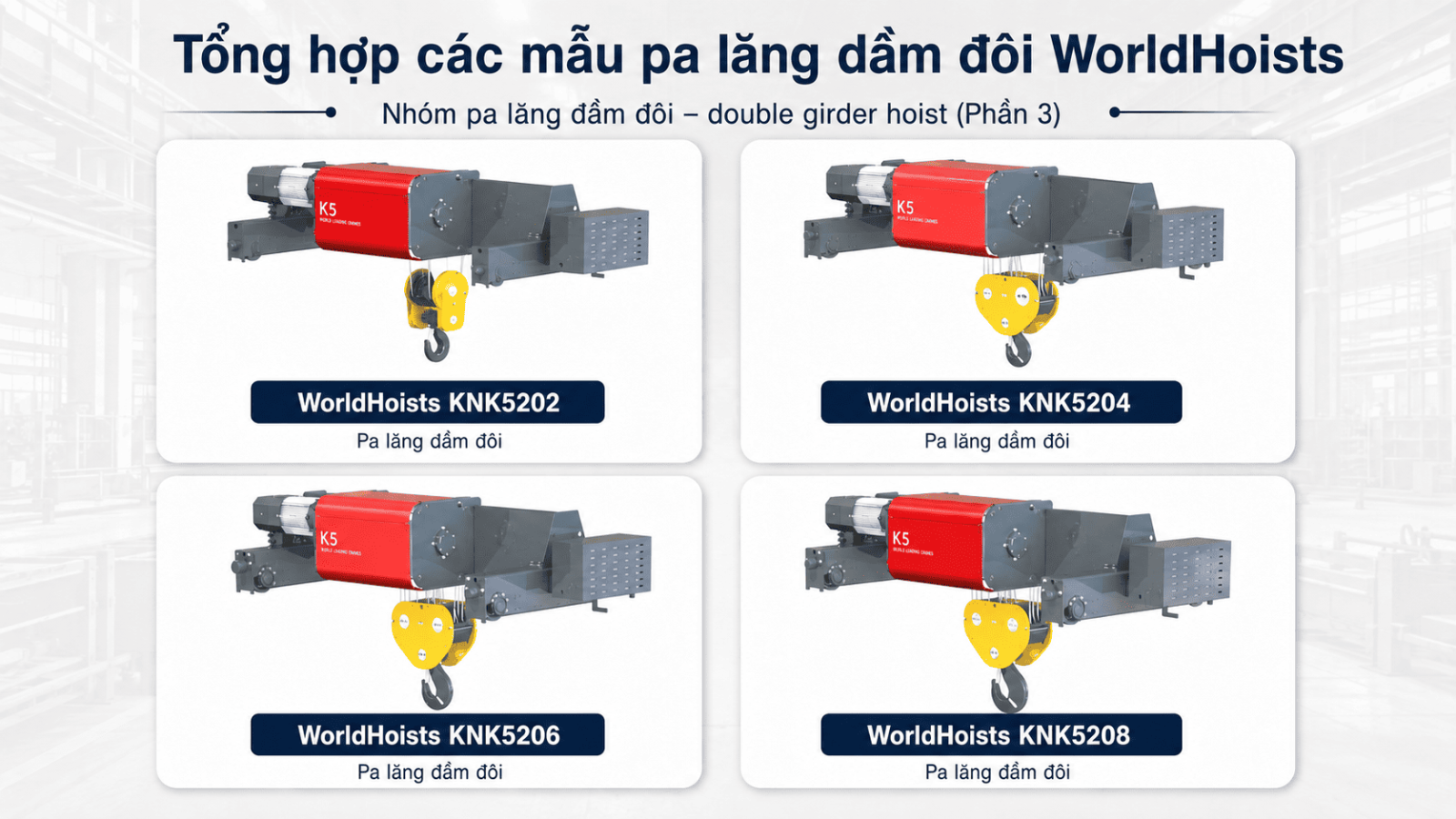 double-girder-hoists-worldhoists-3