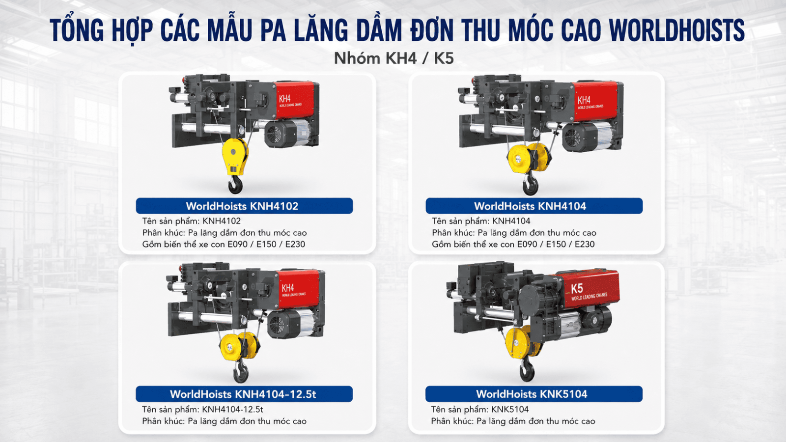 low-headroom-hoists-worldhoists-2
